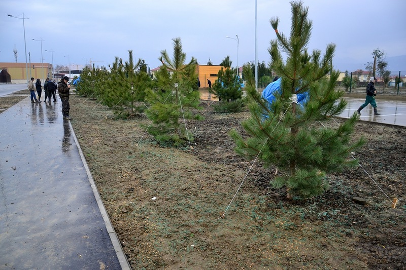 Olimpiadanın arxa qapısı - FOTOSESSİYA