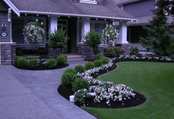 Həyətdə bağ belə olmalıdır - FOTO