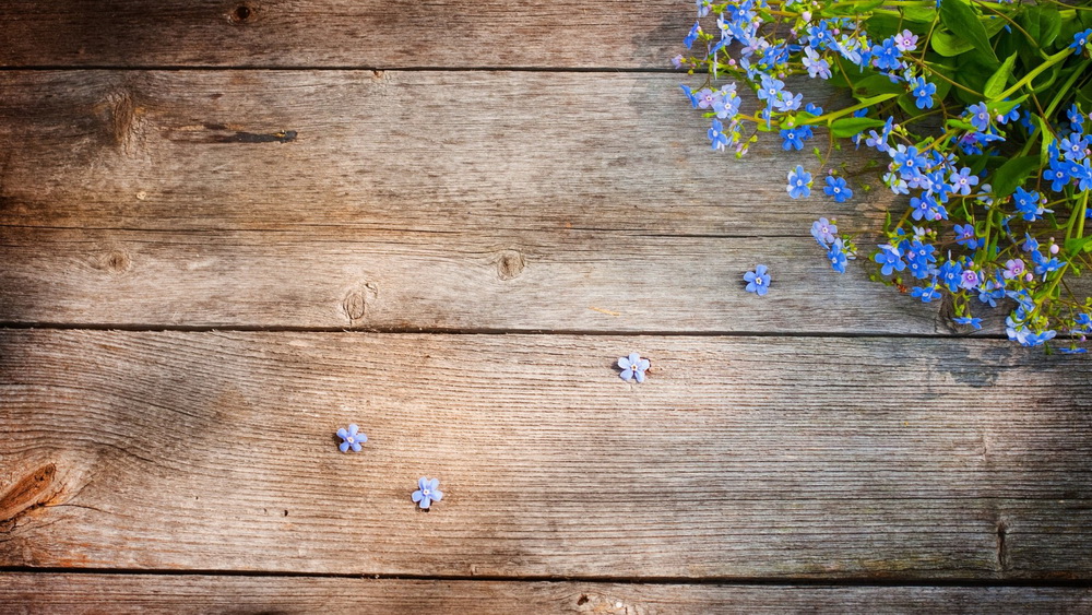 Kompüteriniz üçün maraqlı şəkillər - FOTOSESSİYA