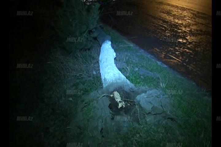 Aran bölgəsi qara təslim oldu - FOTO - VİDEO