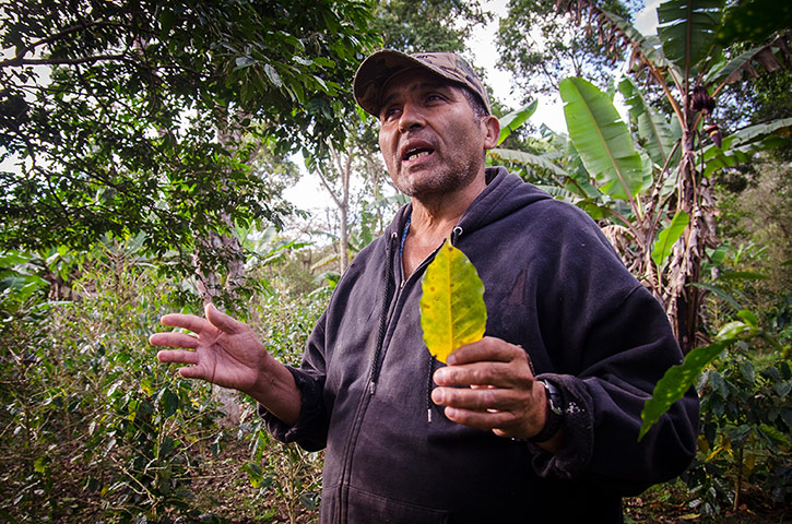 Finca owner Pantale n Munguia
