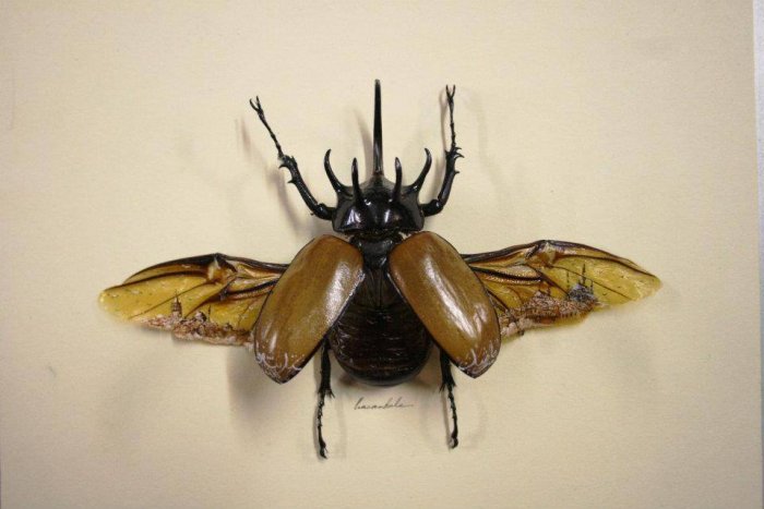 Balaca əsərlər ustası - FOTO