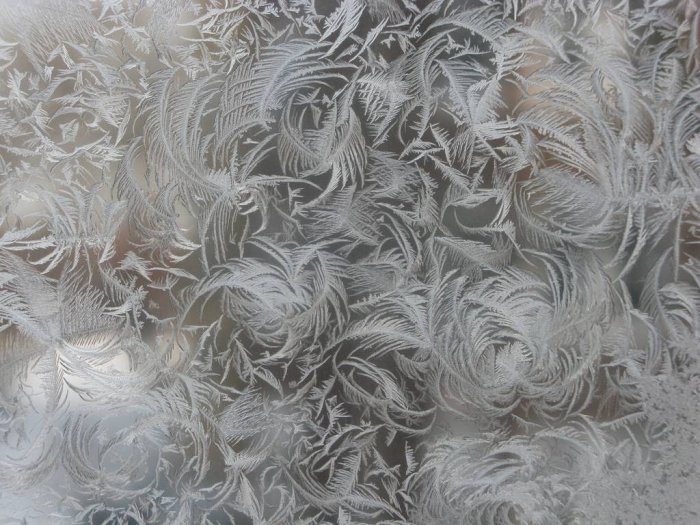 Şüşədə buzlu naxışlar - FOTO