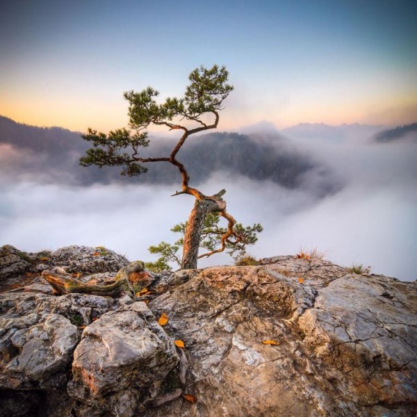 Tatra dağlarında - FOTOSESSİYA