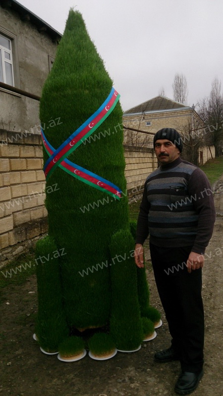 Qeyri-adi səməni - FOTO