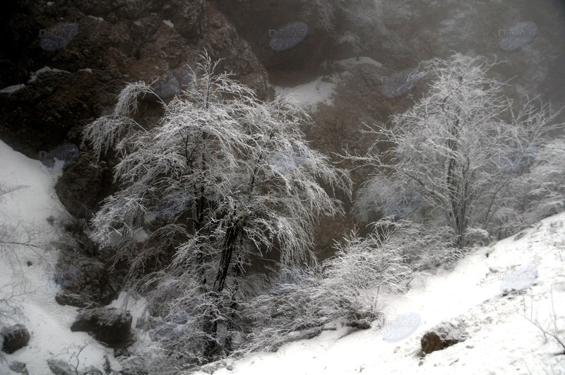 Azərbaycan dağlarının qış görüntüləri - FOTOSESSİYA