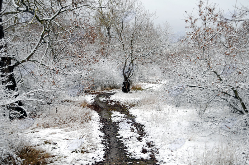 Azərbaycan dağlarının qış görüntüləri - FOTOSESSİYA