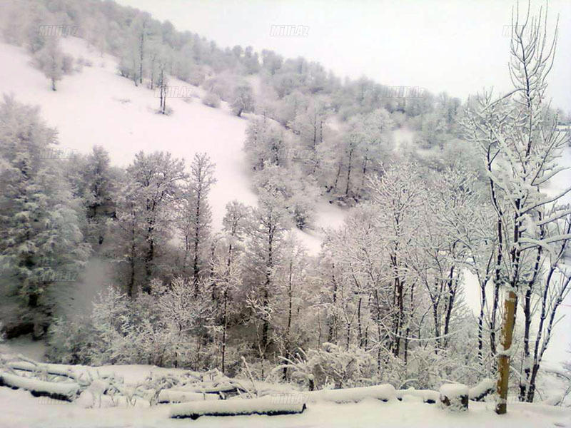 Azərbaycanda Sibir mənzərəsi - FOTO