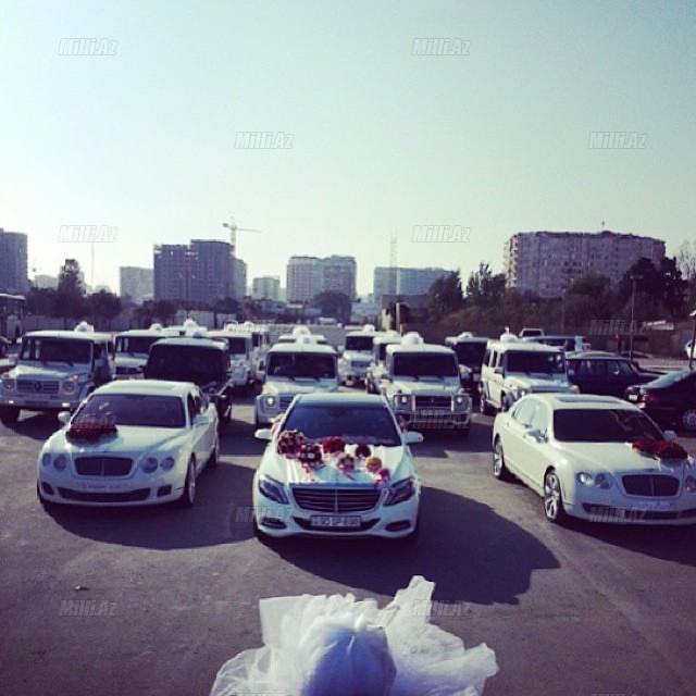 Bakıda 25 "Gelandewagen"li toy kimə çalınıb? - YENİLƏNİB - VİDEO - FOTO