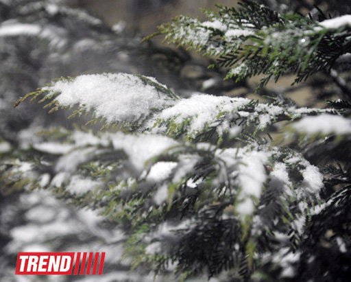 Bakıya qar yağır - YENİLƏNİB - FOTOSESSİYA