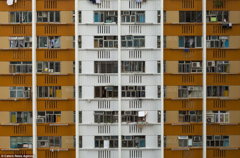 Darısqal, rəngarəng, səs-küylü - FOTO