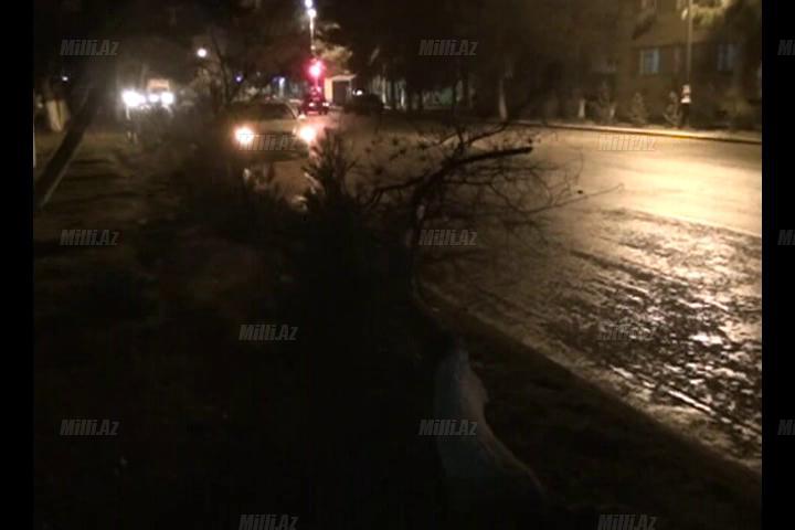 Aran bölgəsi qara təslim oldu - FOTO - VİDEO