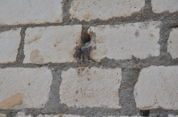 Güllə yağışında "çimən" Çıraqlı kəndi - FOTOREPORTAJ