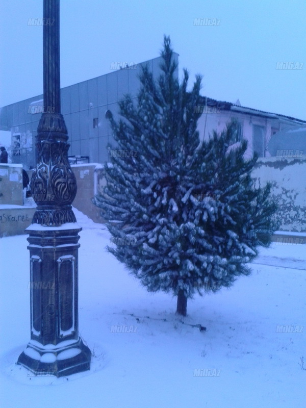 Bakıya güclü qar yağır - YENİLƏNİB - VİDEO - FOTOSESSİYA