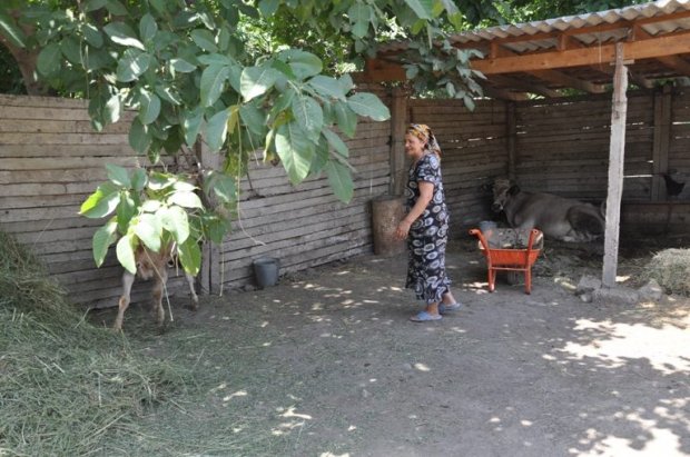 Güllə yağışında "çimən" Çıraqlı kəndi - FOTOREPORTAJ