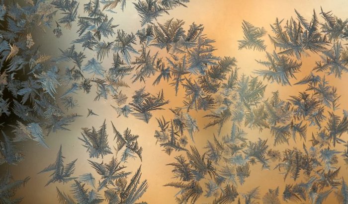 Şüşədə buzlu naxışlar - FOTO