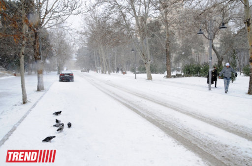 Bakı ağ libasa büründü - FOTOSESSİYA