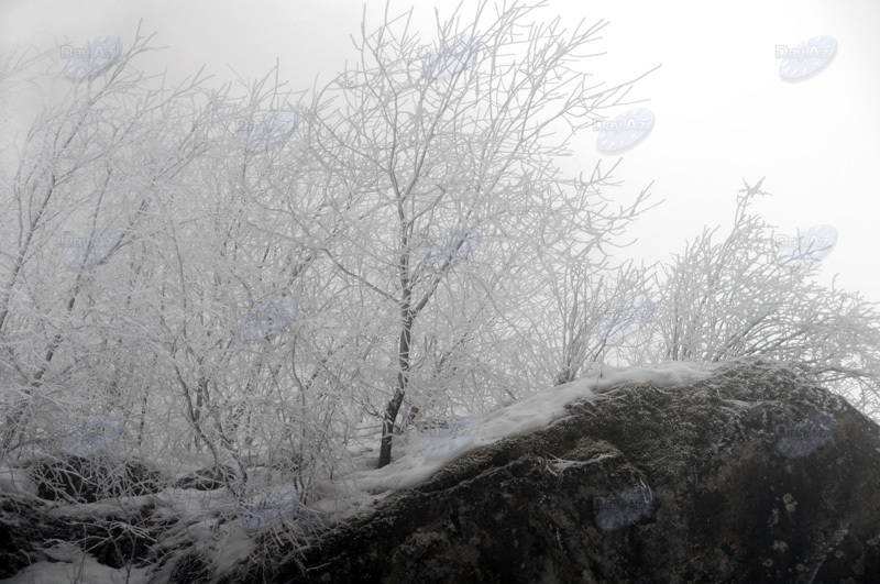 Azərbaycan dağlarının qış görüntüləri - FOTOSESSİYA