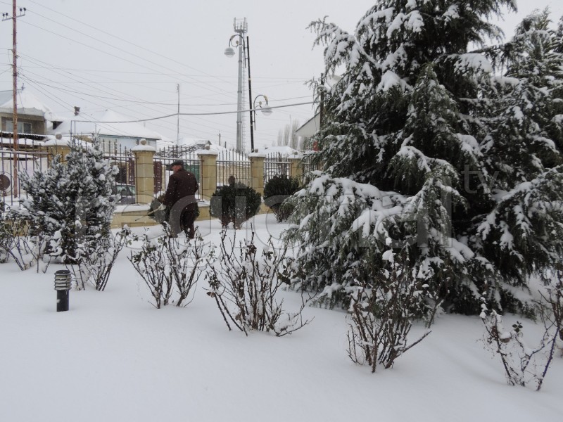Nabrana yarım metrdən çox qar yağıb - YENİLƏNİB - FOTO