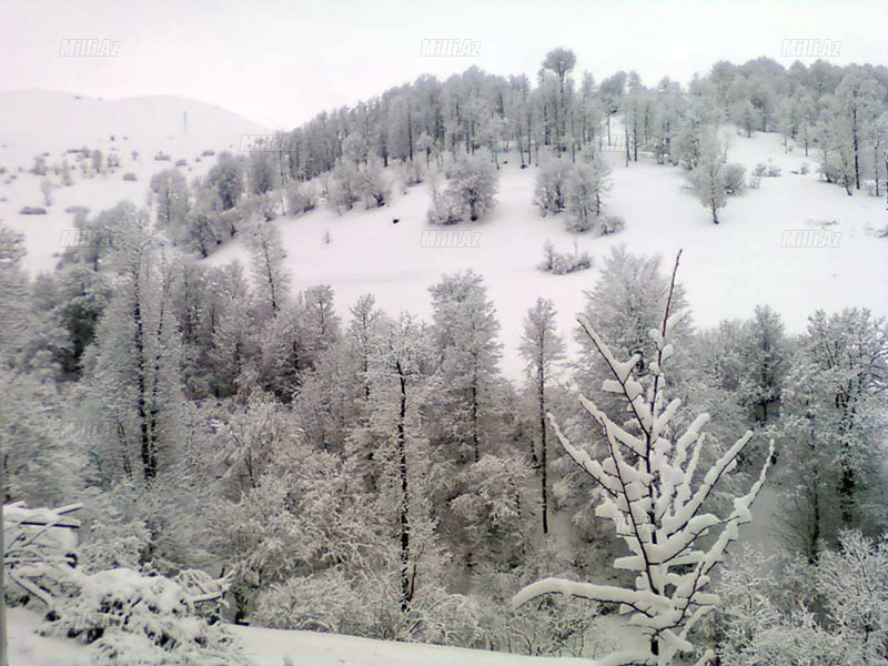 Azərbaycanda Sibir mənzərəsi - FOTO