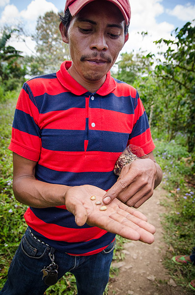 Finca owner Pantale n Munguia