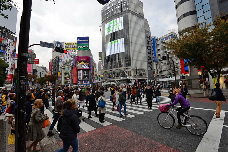 Gündoğar ölkədə səyahət - FOTOSESSİYA