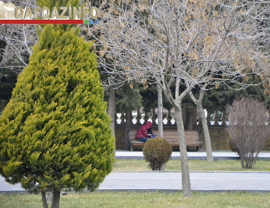 Bakıda Sevgililər Günü - FOTOSESSİYA