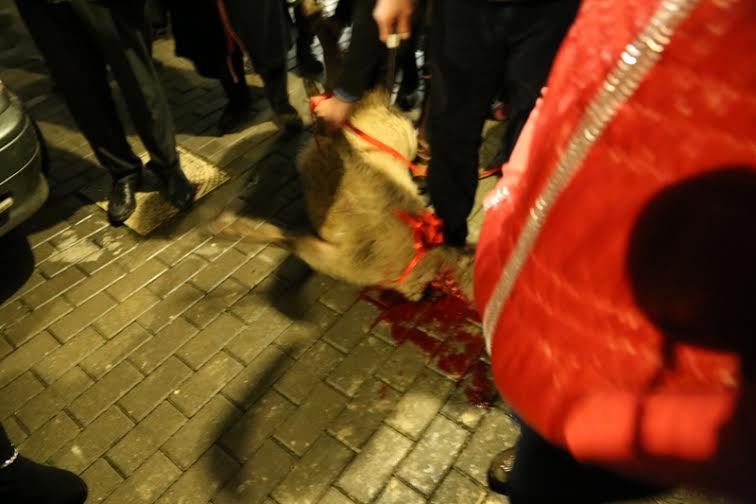 Lamiyə Quliyevanın evindən FOTOlar