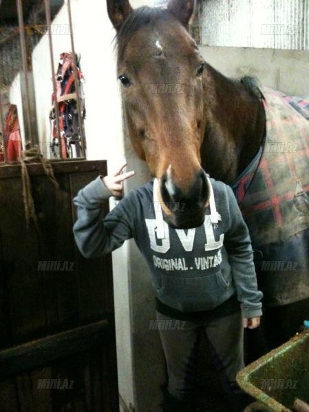 Lazımi məqamda çəkilmiş FOTOlar