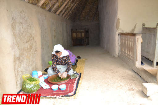 Xəzər sahilində fərqli muzey - FOTO