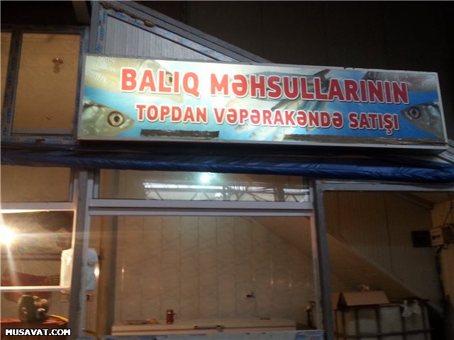 Balıq mövsümü başladı: "dərmansız" balığı necə tanımalı? - FOTO