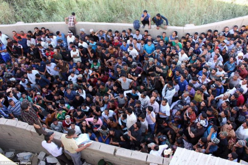 Vəhhabilərə qarşı hamı birləşir - FOTO