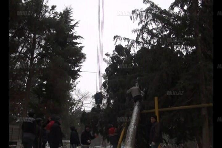 Aran bölgəsi qara təslim oldu - FOTO - VİDEO