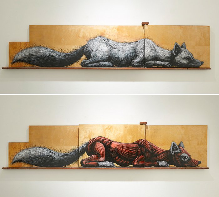 Şəkillərdə anatomiya dərsi - FOTO