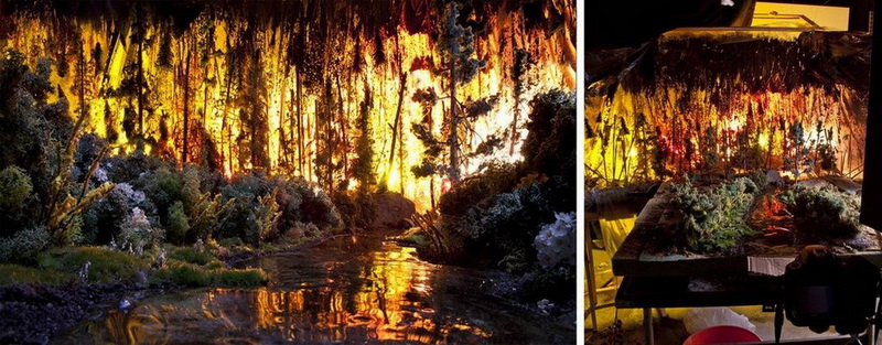 Gözlərinə inanma - FOTOSESSİYA