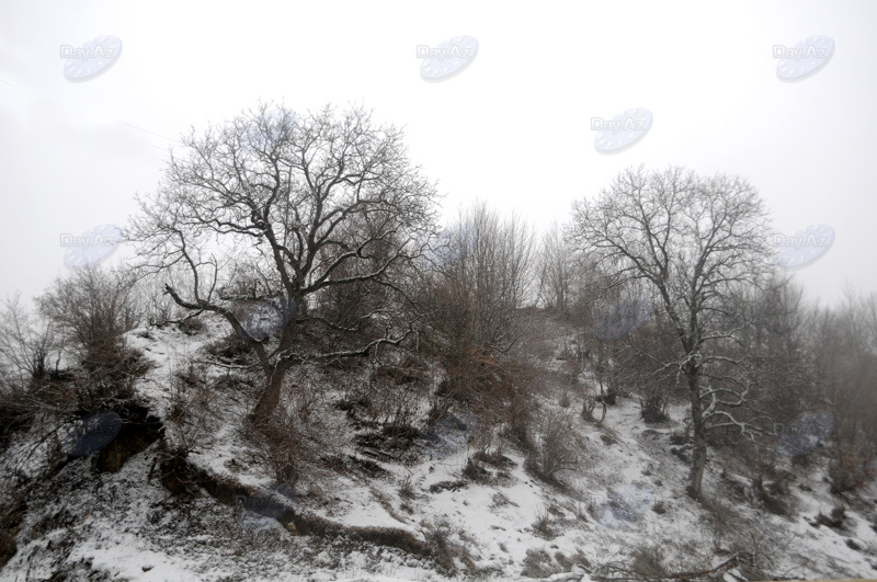 Azərbaycan dağlarının qış görüntüləri - FOTOSESSİYA