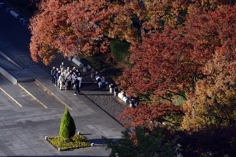Gündoğar ölkədə səyahət - FOTOSESSİYA