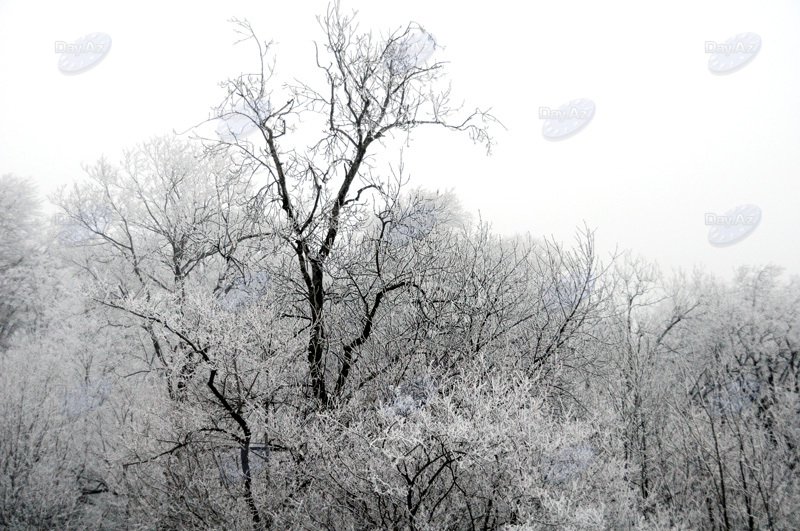 Azərbaycan dağlarının qış görüntüləri - FOTOSESSİYA