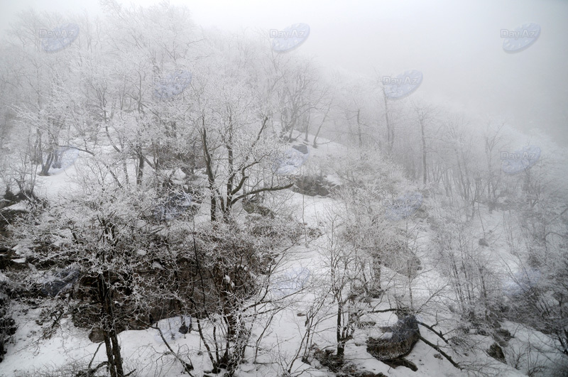 Azərbaycan dağlarının qış görüntüləri - FOTOSESSİYA