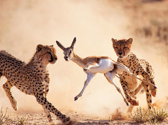 "National Geographic"dən bu ilin ən yaxşı FOTOLARI