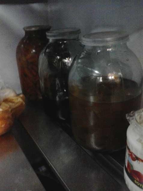 Bakıdakı "Yaşıl bağ" restoranında qurd bəslənir - FOTO