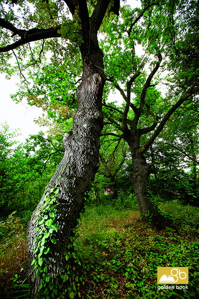 Xaçmaz: gözəl, qədim diyar - FOTO
