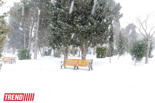 Bakı ağ libasa büründü - FOTOSESSİYA