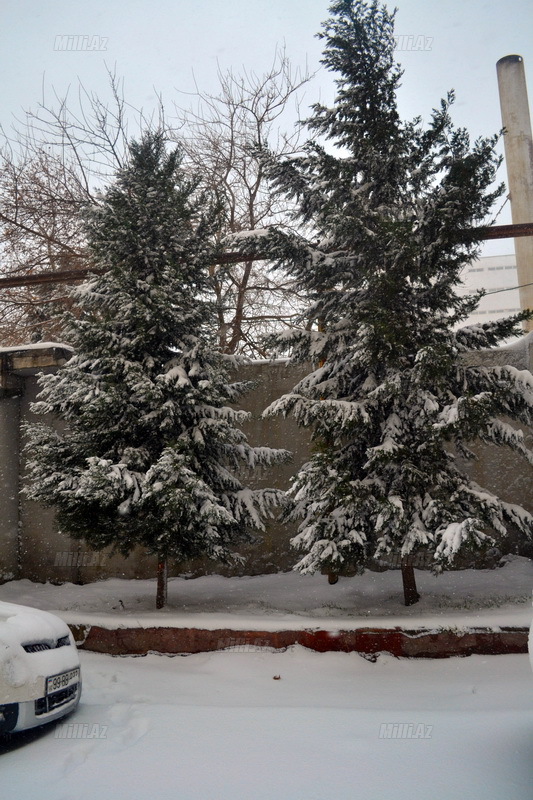 Bakıya güclü qar yağır - YENİLƏNİB - VİDEO - FOTOSESSİYA