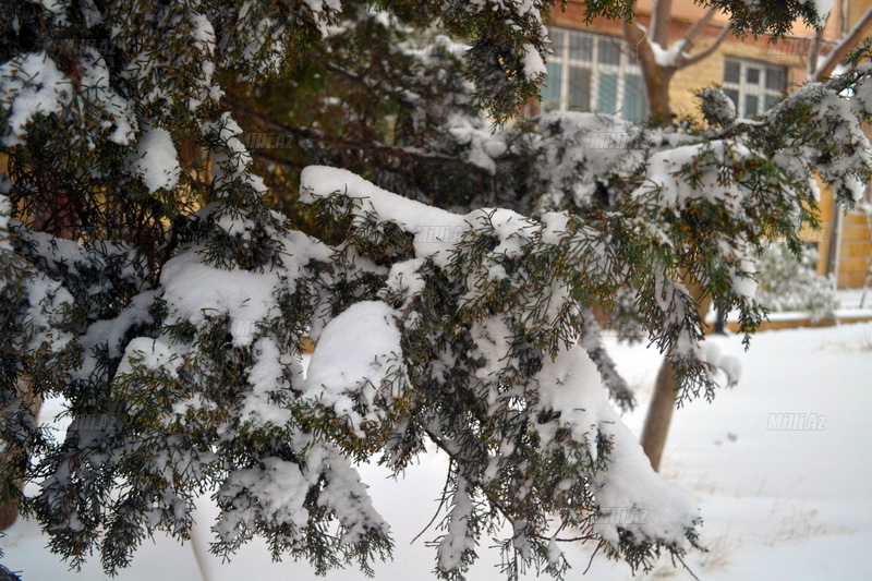 Bakıya güclü qar yağır - YENİLƏNİB - VİDEO - FOTOSESSİYA