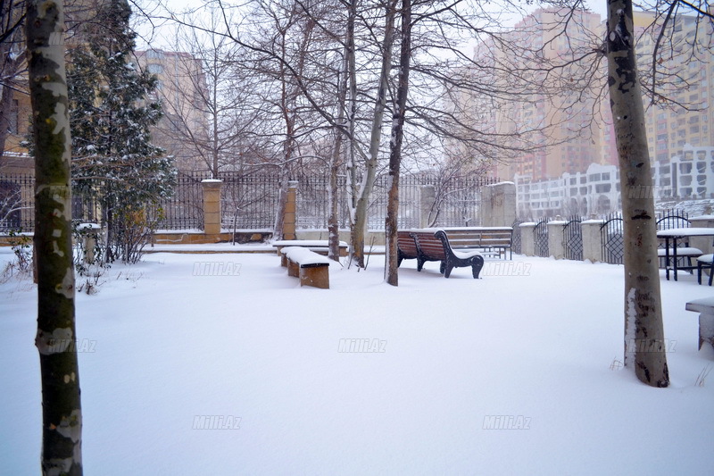 Bakıya güclü qar yağır - YENİLƏNİB - VİDEO - FOTOSESSİYA