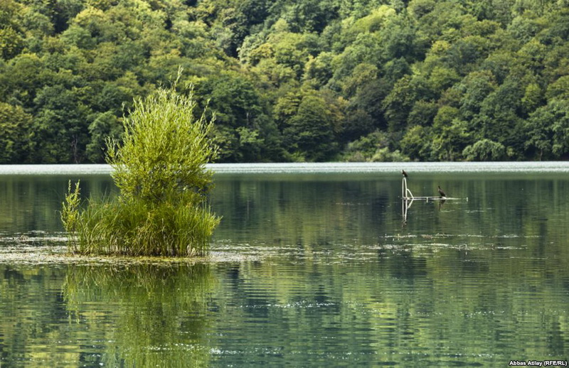 Qəbələ: Nohur gölü - FOTO